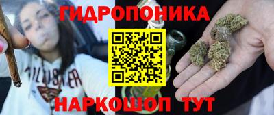 Альфа ПВП Краснознаменск