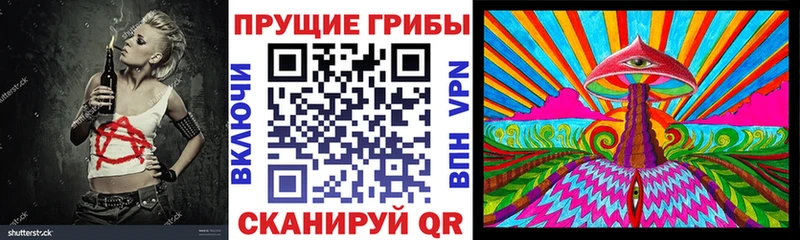 omg как войти  Моздок  Псилоцибиновые грибы ЛСД 