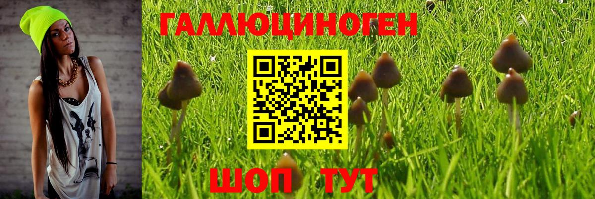 Галлюциногенные грибы Magic Shrooms Моздок