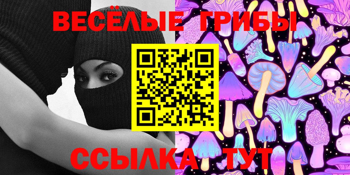 Галлюциногенные грибы Cubensis  Вход с VPN  Моздок 